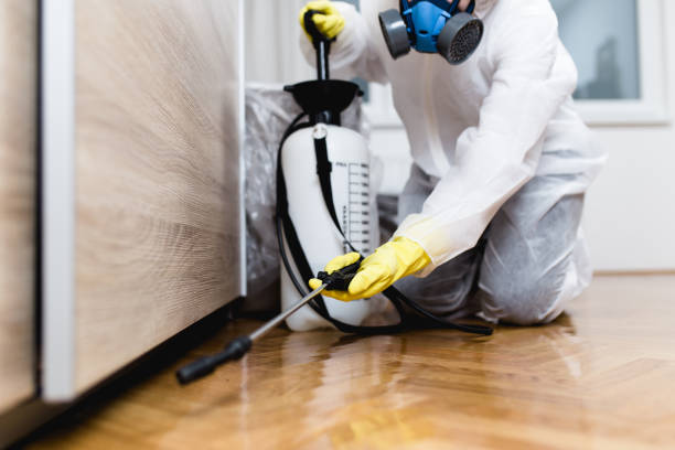 Best Affordable Pest Control Services  in California, MO