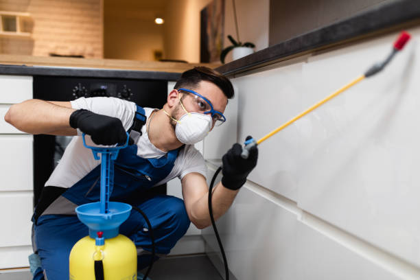 Reliable California, MO Pest Control Solutions