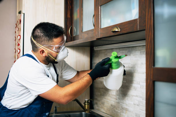 Best Pest Control for Businesses  in California, MO