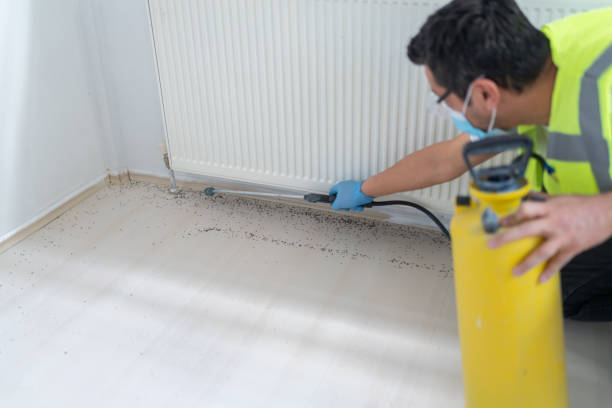 Best Pest Inspection Near Me  in California, MO
