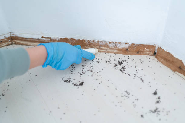 Best Pest Control for Restaurants  in California, MO