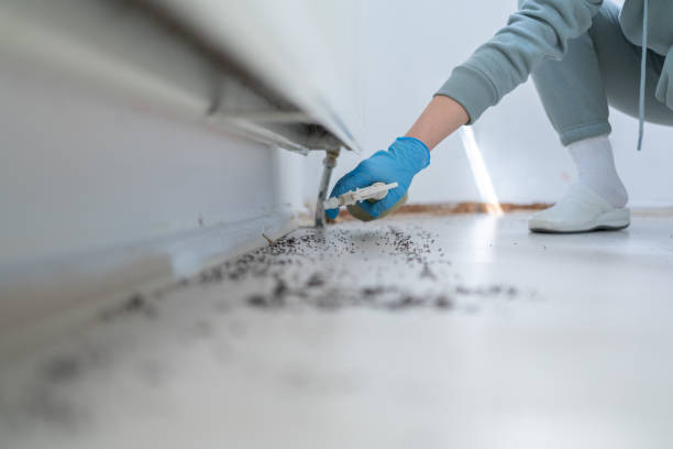 Best Cockroach Control Services  in California, MO